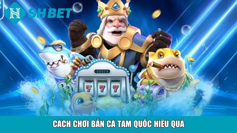 Bắn Cá Tam Quốc – Trải Nghiệm Săn Cá Đỉnh Cao Tại Nhà Cái SHBET 12 Cách chơi bắn cá Tam Quốc hiệu quả