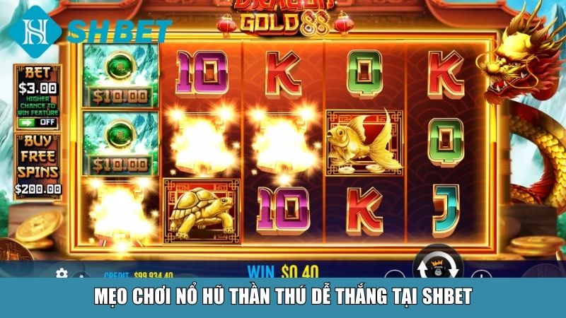 Mẹo chơi nổ hũ Thần Thú dễ thắng tại SHBET