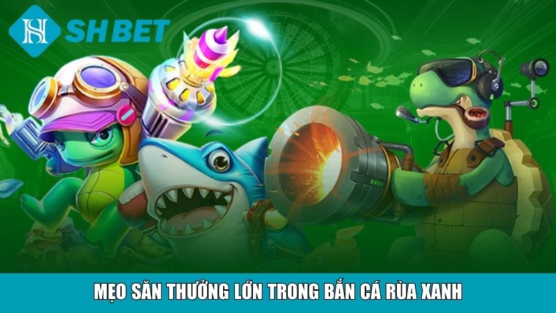 Bắn Cá Rùa Xanh SHBET – Trải Nghiệm Săn Thưởng Đỉnh Cao 8 Mẹo săn thưởng lớn trong bắn cá Rùa xanh
